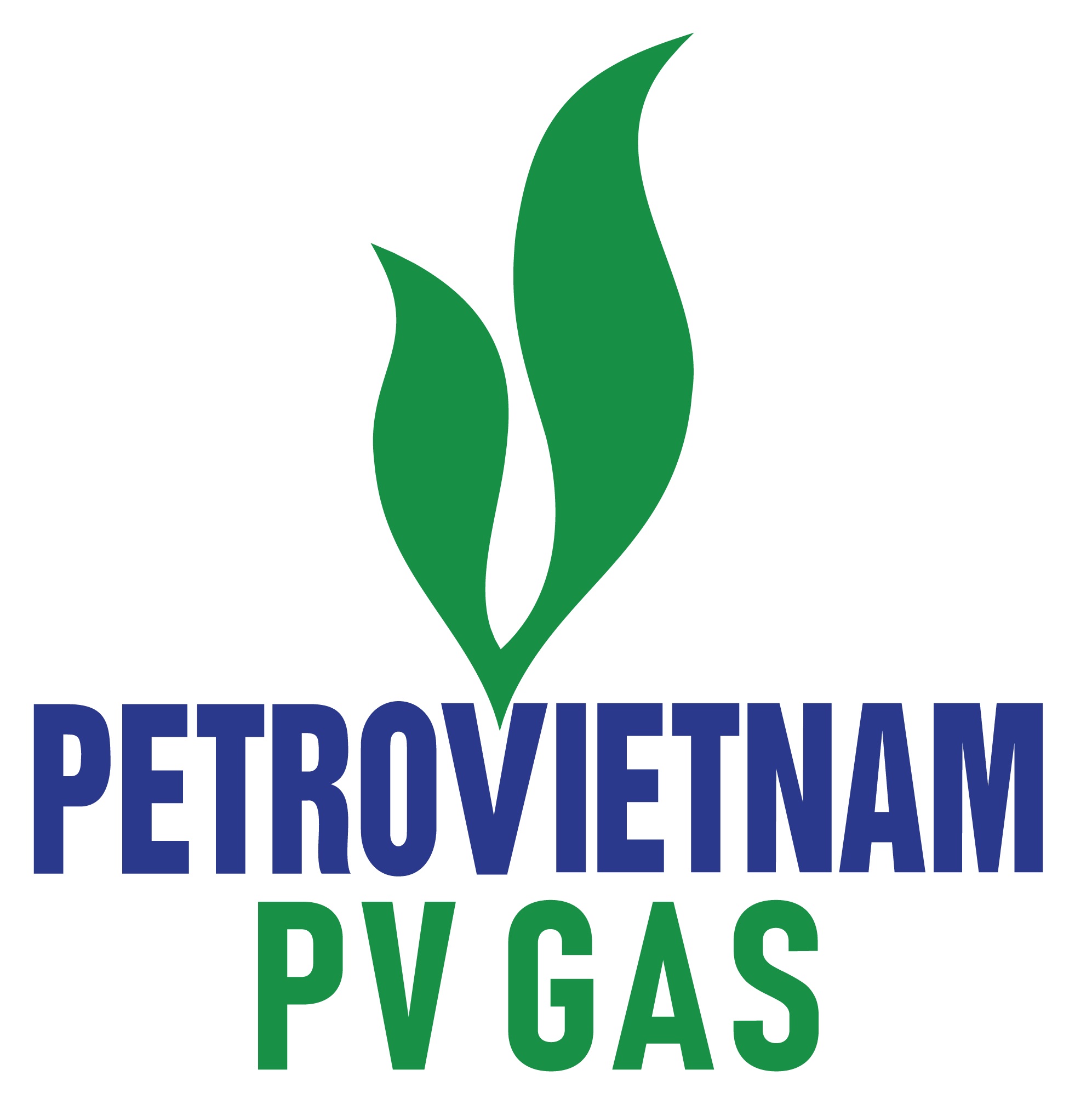 logopvgas2025